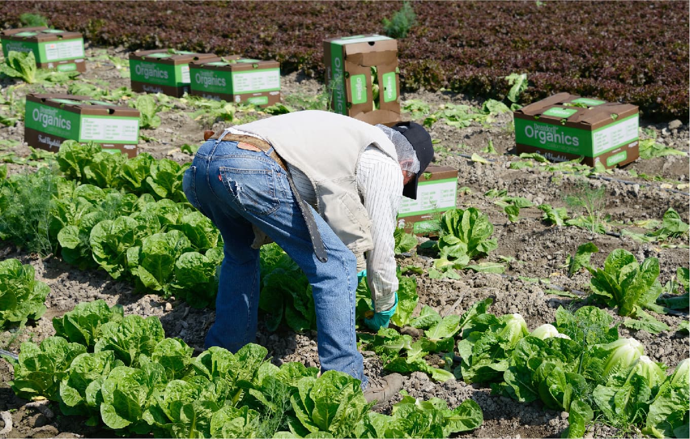 キービジュアル